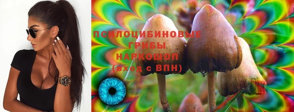 винт Алексеевка