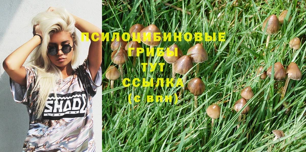 винт Алексеевка