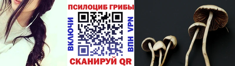 Галлюциногенные грибы прущие грибы  дарнет шоп  Алзамай 